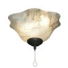 141 Mocha Bowl Oil Rubbed Bronze Ceiling Fan Light by TroposAir