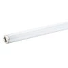 15-Watt 18 in. Linear T8 Fluorescent Tube Light Bulb Cool White (4100K) by Philips