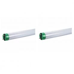 32-Watt 4 ft. Linear T8 Type A ALTO Fluorescent Tube Light Bulb Daylight (5000K) (2-Pack) by Philips