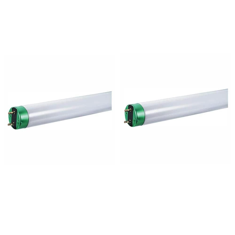 32-Watt 4 ft. Linear T8 Type A ALTO Fluorescent Tube Light Bulb Daylight (5000K) (2-Pack) by Philips