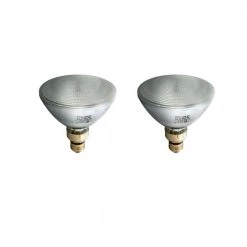 72-Watt PAR38 Dimmable Indoor/Outdoor Halogen Flood Light Bulb (2-Pack) by Philips