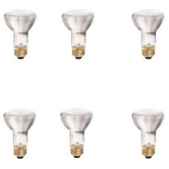 35-Watt Equivalent R20 Halogen Flood Light Bulb (6-Pack) by Philips