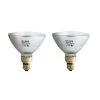 90-Watt PAR38 Halogen Indoor/Outdoor Flood Light Bulb (2-Pack) by Philips