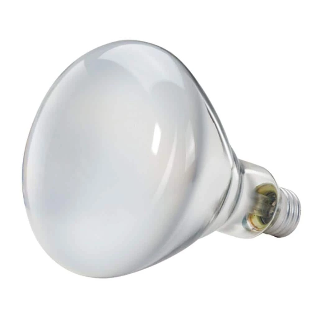 65-Watt BR40 Incandescent DuraMax Indoor Flood Light Bulb (2-Pack) by Philips - Image 4