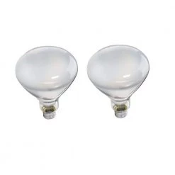 65-Watt BR40 Incandescent DuraMax Indoor Flood Light Bulb (2-Pack) by Philips