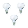 65-Watt BR30 Incandescent DuraMax Dimmable Flood Light Bulb (3-Pack) by Philips