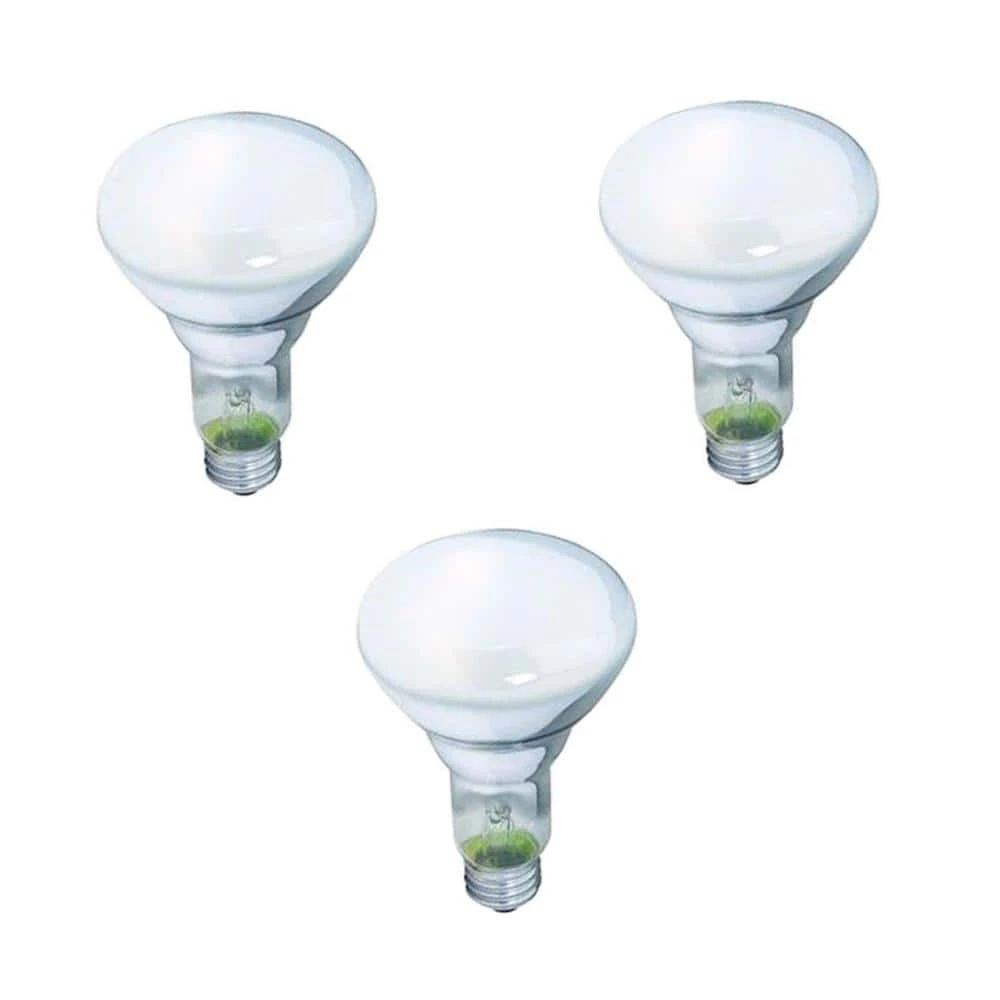 65-Watt BR30 Incandescent DuraMax Dimmable Flood Light Bulb (3-Pack) by Philips