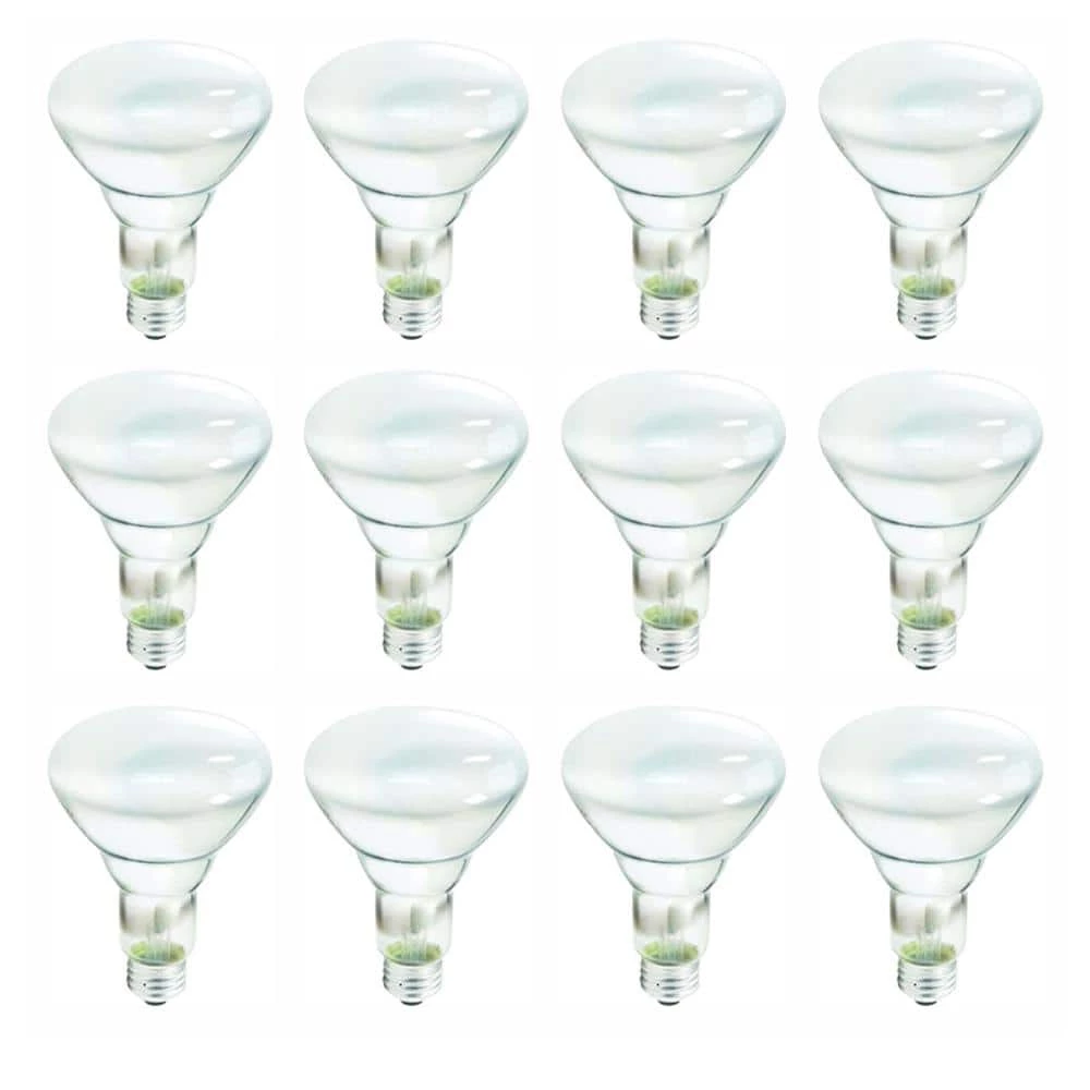 65-Watt Incandescent BR30 Flood Light Bulb Soft White (2700K) (12-Pack) by Philips
