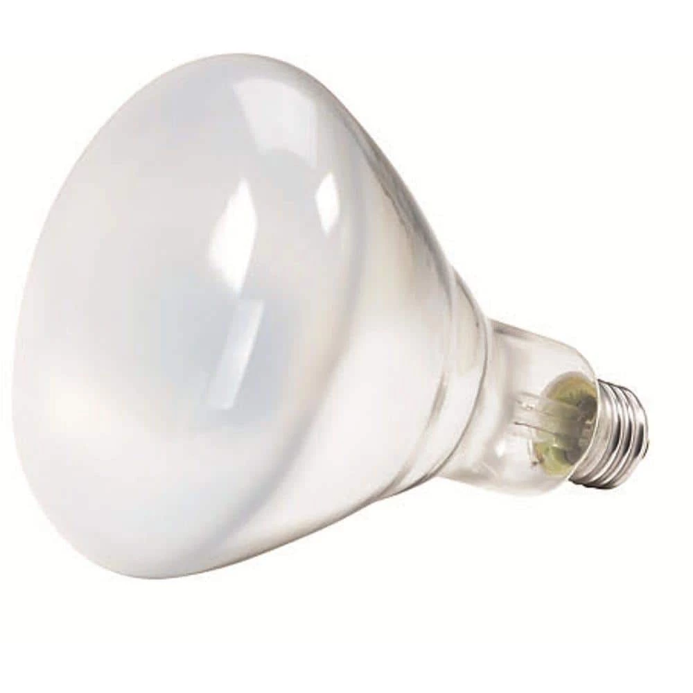 65-Watt BR40 Incandescent Flood Light Bulb Soft White (2700K) (12-Pack) by Philips - Image 3