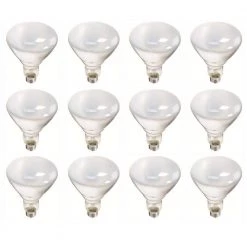 65-Watt BR40 Incandescent Flood Light Bulb Soft White (2700K) (12-Pack) by Philips